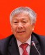 雷前治：大企業整合需要層層突破 西南可做試驗田 (1)