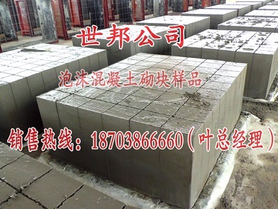 【供】河南世邦發泡混凝土砌塊磚設備